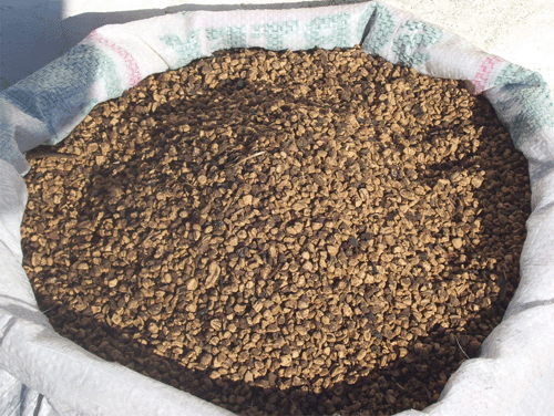 Pirina